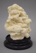 A coral specimen mounted on a display plinth. 20 cm high.