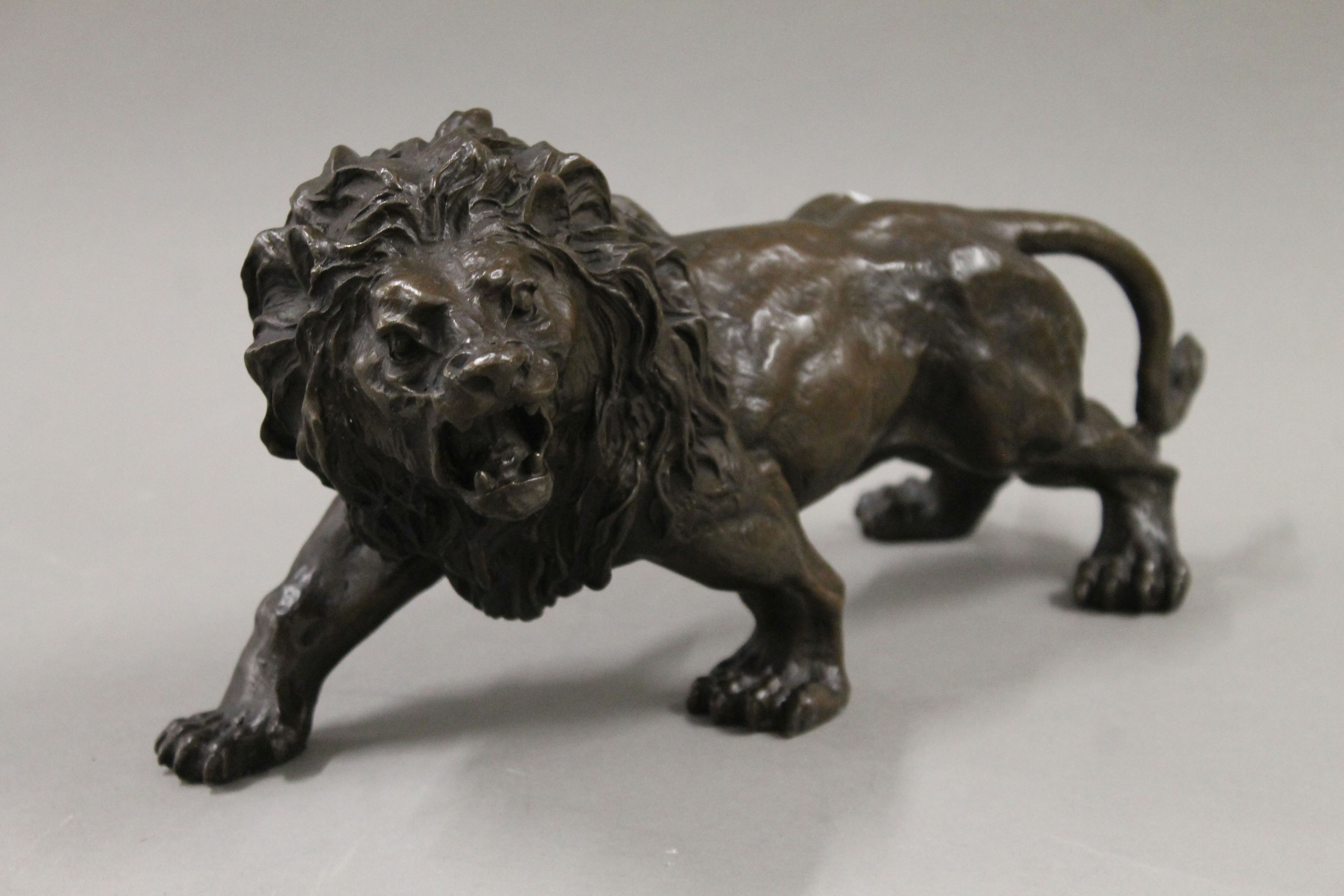 A bronze model of a lion. 32 cm long. - Image 2 of 4