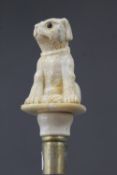 A walking stick with a carved bone handle formed as a dog. 90 cm long.