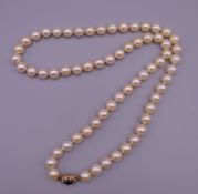An 18 ct gold sapphire and diamond clasp set pearl necklace. 64 cm long.