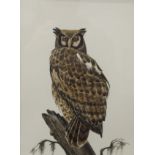 LAWRENCE MYNOTT (born 1954) British (AR), Milky Eagle Owl, watercolour,