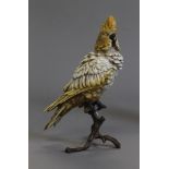 A cold painted bronze model of a parrot. 30 cm high.
