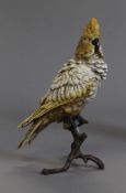 A cold painted bronze model of a parrot. 30 cm high.