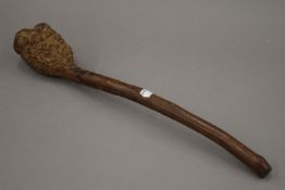 An Irish shillelagh (root wood club). 45 cm long.