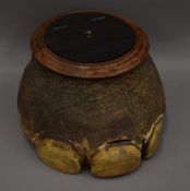 A taxidermy specimen of a small preserved Elephant's foot loxodonta fitted with a wooden lidded