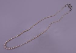 A single strand pearl necklace set with an 18 ct gold and diamond clasp. 50 cm long.