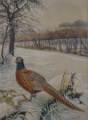 DAVID HURRELL, Pheasant in Snowy Landscape, watercolour and gouache, framed and glazed. 20 x 27.