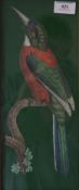 A cut out coloured engraving of a Bird, framed and glazed. 21 x 41 cm overall.