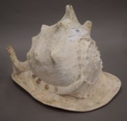 A large conch shell. 23 cm high.