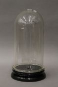 A glass dome on stand. 35 cm high.