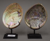 A pair of abalone shells on stands.