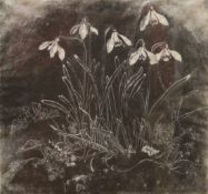CAROLINE HEMMING (1931-2017), 'Snowdrops', limited edition print, numbered 12/50,