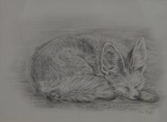 ANN BIGGS (20th/21st century) British, Sleeping Fox, pencil sketch, signed, framed and glazed.