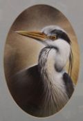 DAVID FINNEY, Grey Heron, watercolour,