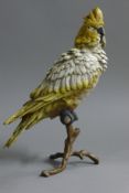 A cold painted bronze model of a parrot. 30 cm high.