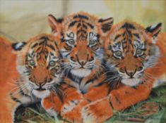 BARRY HARDEN (20th/21st century), Tiger Cubs, oil, signed, framed. 59 x 44 cm.