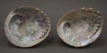 A pair of abalone shells on stands.