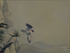 FREDERICK J WATSON, Birds of Prey, watercolour, signed and dated 1987, framed and glazed.