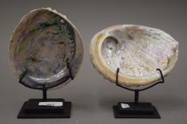 Two abalone shells on stands.