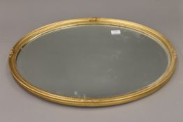 Two gilt framed mirrors. The largest 65 cm wide.