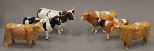 Six Beswick model cattle. The largest 13 cm high.