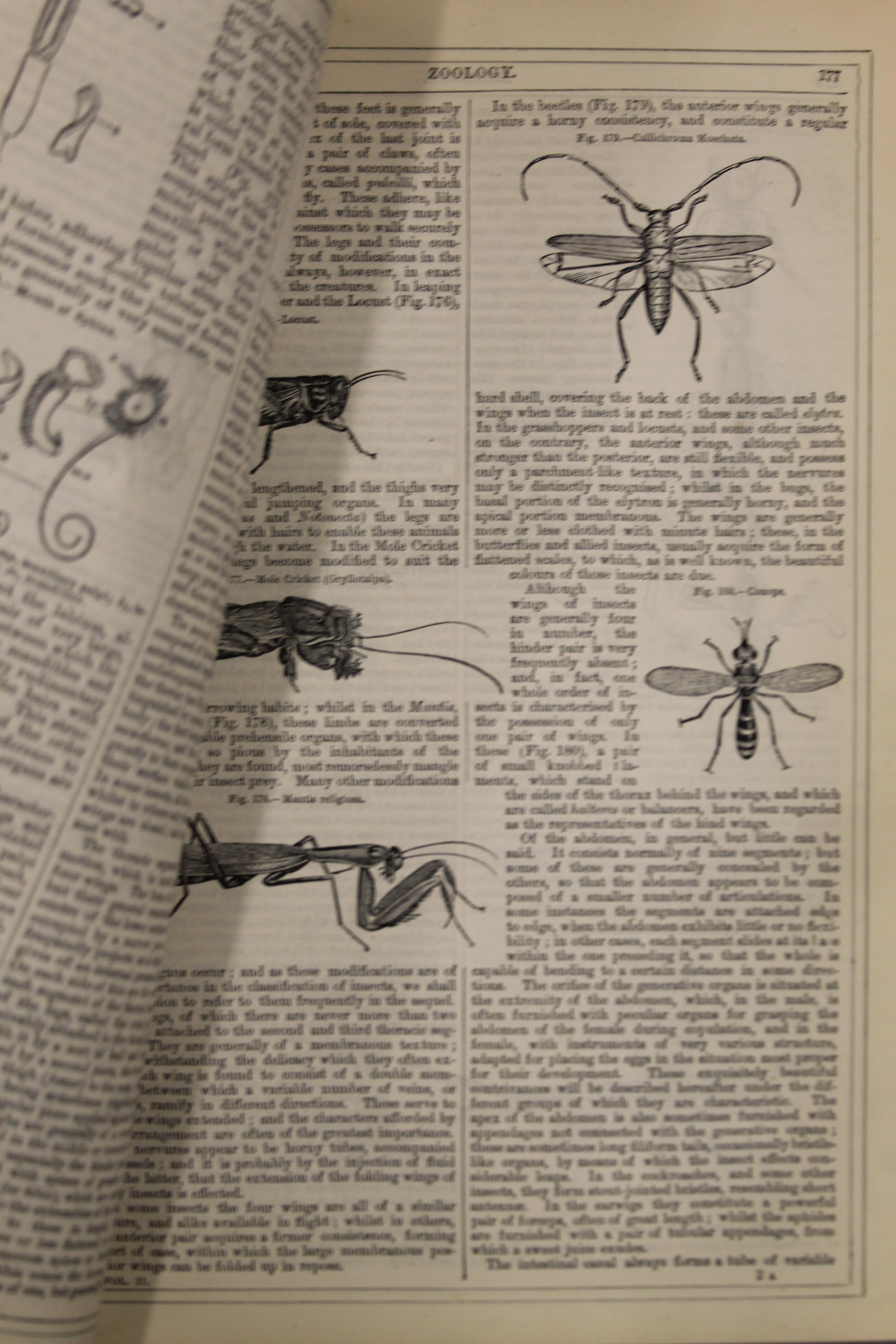 The Circle of the Sciences by Henry Lord Brougham, volumes 1 and 2; together with a Victorian Bible. - Image 5 of 6