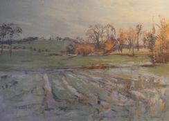 ROSEMARY CARR ROI (20th/21st century) British, Flooded Fields by the Rib, oil on card,