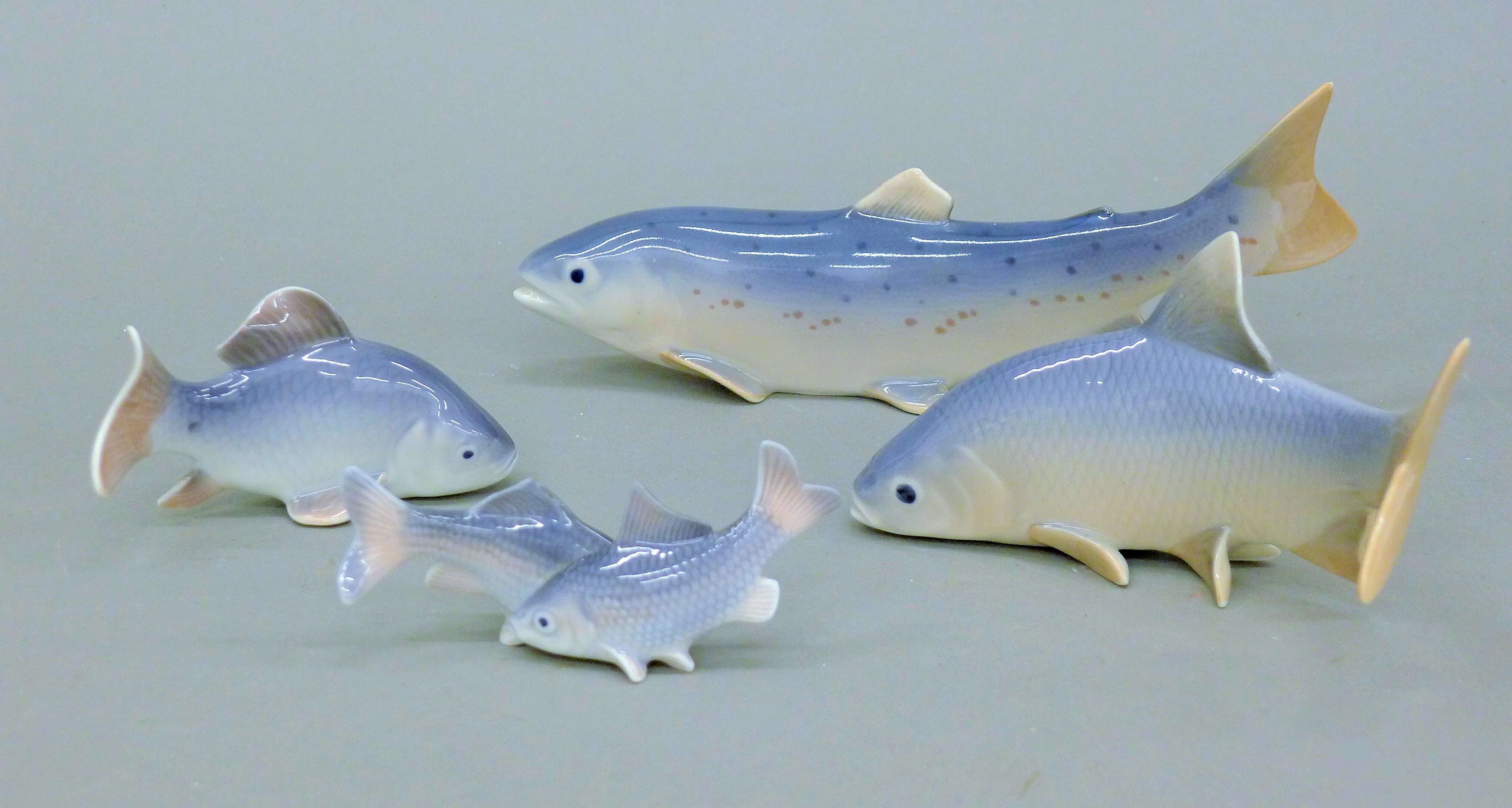 Four Royal Copenhagen models of fish. The largest 20 cm long.