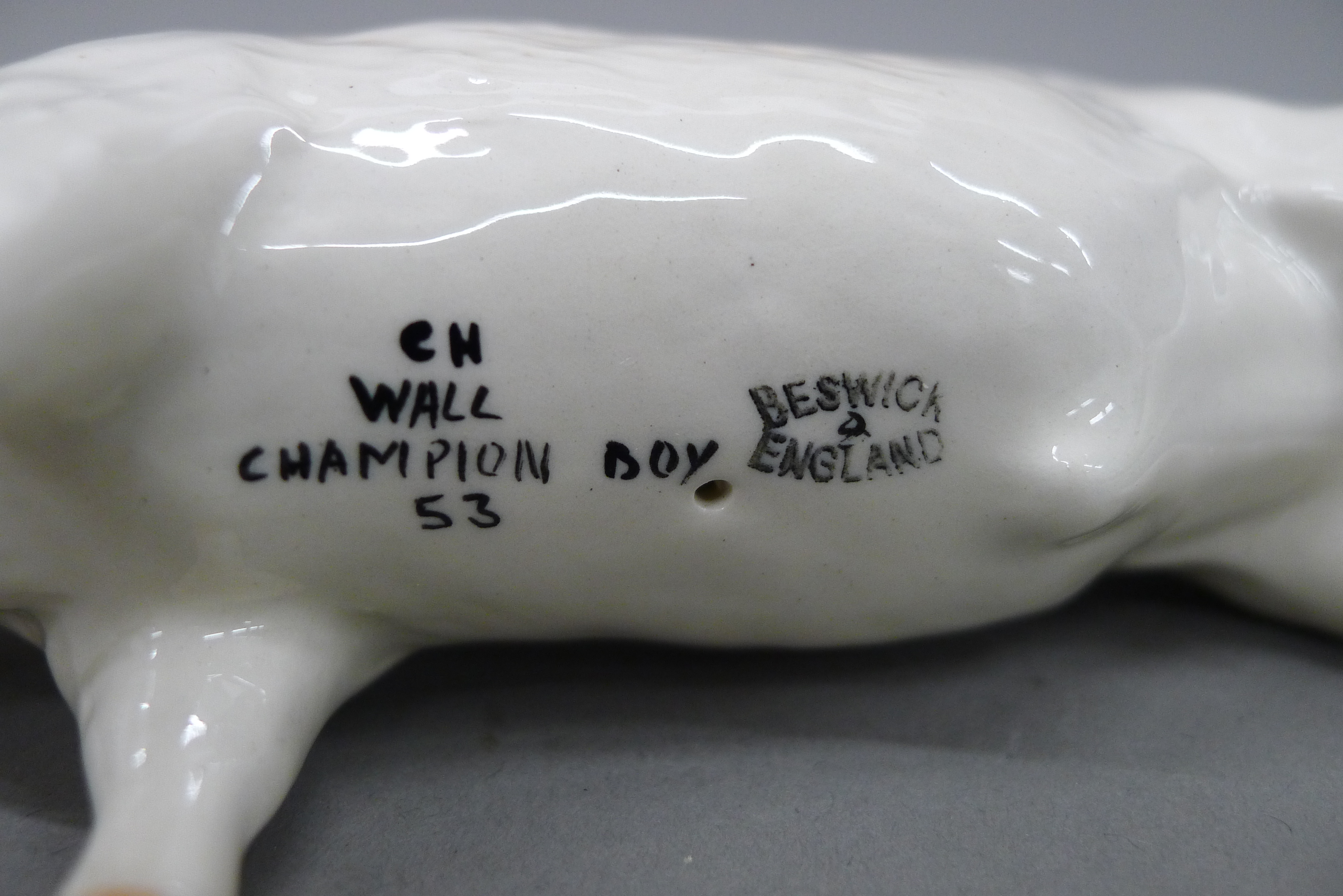 Two Beswick pigs. The largest 17 cm long. - Image 4 of 6