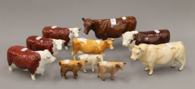 A collection of ten Beswick models of cattle.