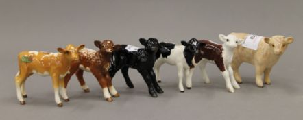 Six Beswick models of calves, including a dairy shorthorn.