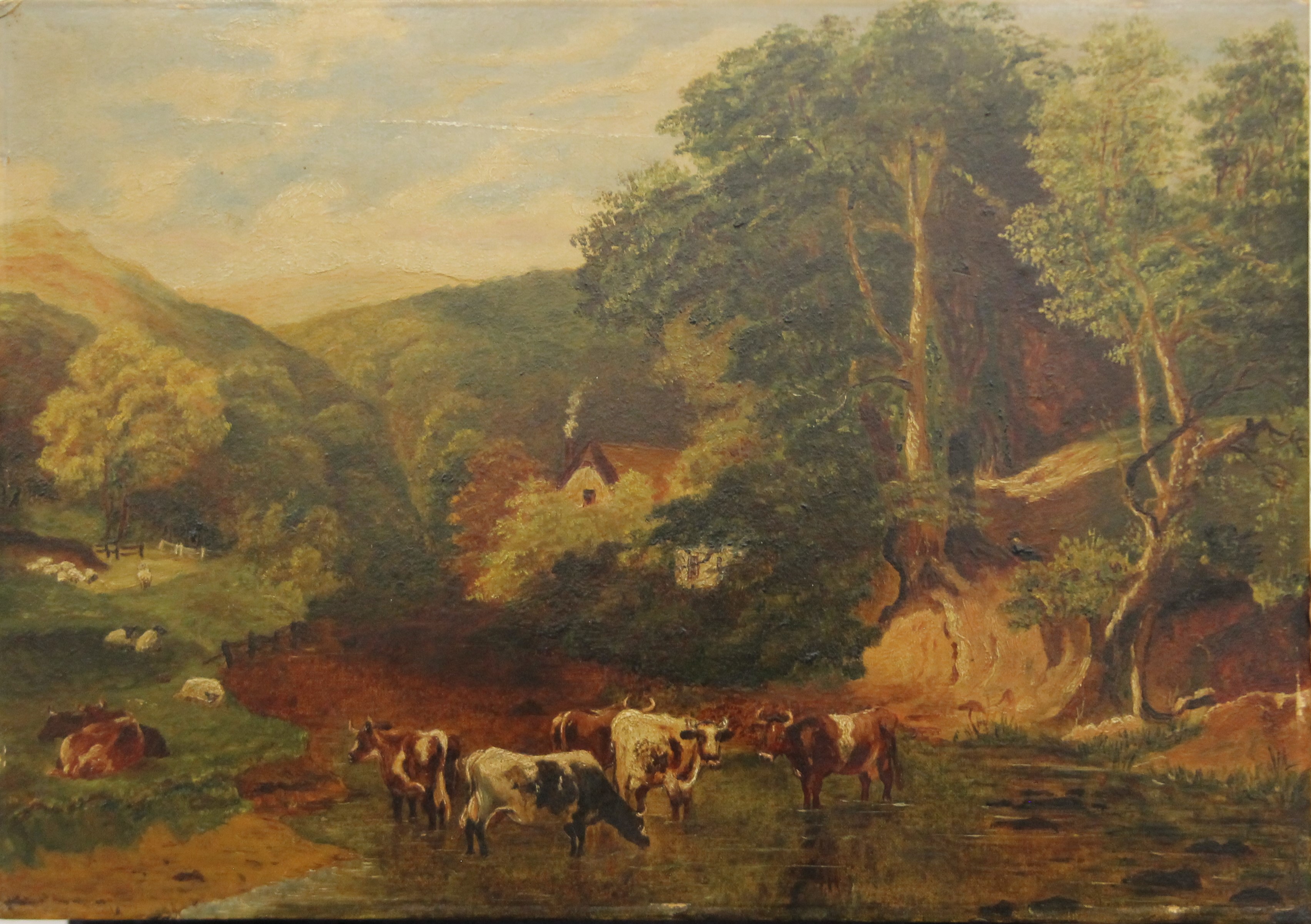 Cattle in a Stream, oil on board, unframed. 50.5 x 30.5 cm.