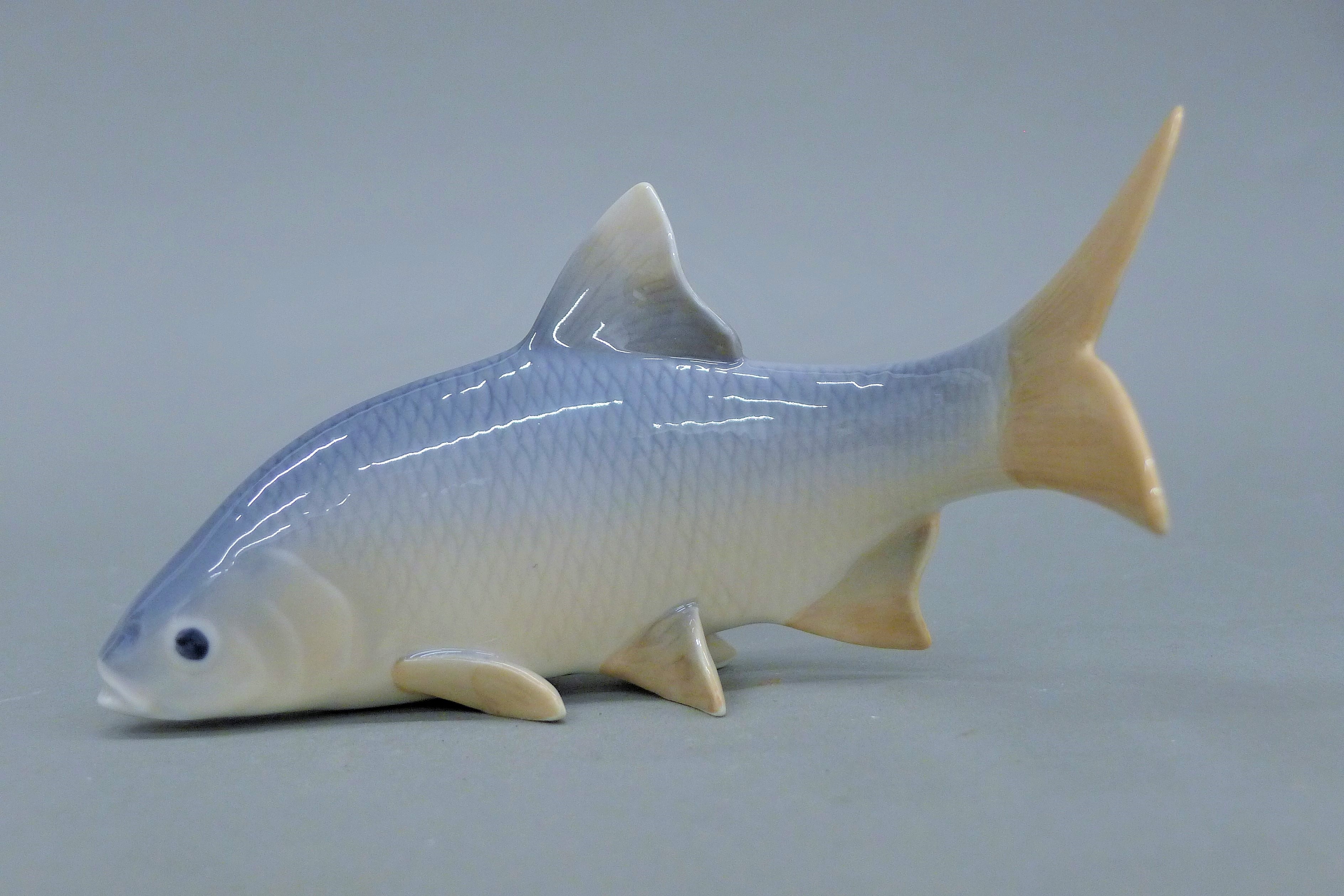 Four Royal Copenhagen models of fish. The largest 20 cm long. - Image 4 of 9