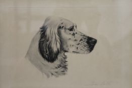 JEAN HERBERT, Portrait of a Dog, print, signed, framed and glazed. 33 x 26 cm overall.