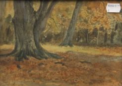 A watercolour of a Woodland Landscape, unsigned,