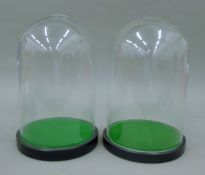 A pair of vacant glass domes. Each 30 cm high.