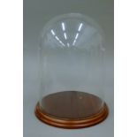 A vacant glass dome. 30 cm high.