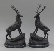 A pair of bronze stags. 44.5 cm high.