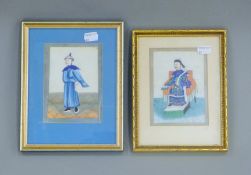 Two Chinese Pith paintings, each framed and glazed. The largest 19 x 24 cm.