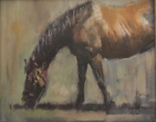 DAVID 'MOUSE' COPPER, Grazing Horse, pastel, signed Mouse, framed. 24.5 x 19.5 cm.