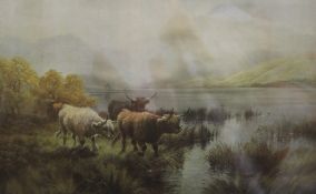 Highland Cattle, a pair of prints, each framed, one glazed. 74 x 52 cm.