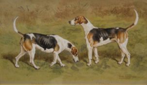 FRANK PATON (1865-1909), Studies of two Foxhounds, Series and Typical, watercolour and bodycolour,