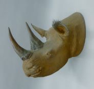 A fibre glass model of a Western Black Rhino Diceros bicornis longipes head and horns.
