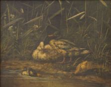 A gilt framed oil on canvas of Ducks. 23.5 x 19 cm.