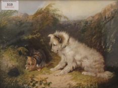 After GEORGE ARMFIELD, a pair of chromolithographic prints of Terriers Hunting,