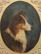 B A HYLAND, Head of Collie Dog, oil, signed and dated 1886, framed. 40 x 51 cm.