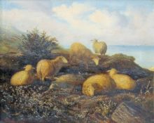 Circle of T S COOPER (19th century), Sheep on a Cliff With Sea Beyond, oil on board, framed.