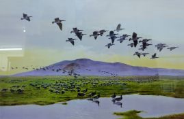 PETER SCOTT, Barnacle Geese at Saerlaverock, limited edition print, numbered 181/500,