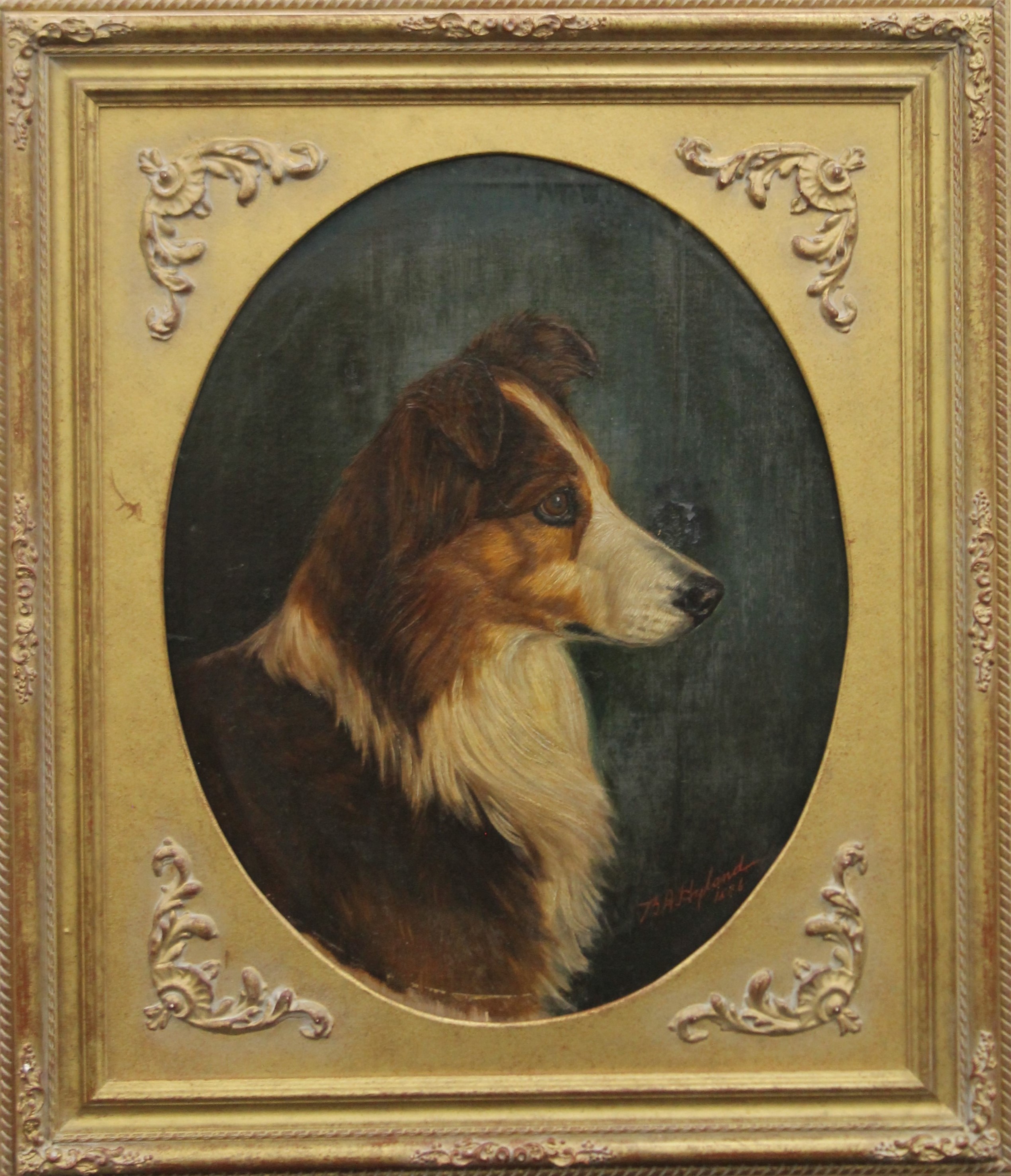 B A HYLAND, Head of Collie Dog, oil, signed and dated 1886, framed. 40 x 51 cm. - Image 2 of 5