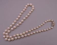 A pearl necklace. 52 cm long.